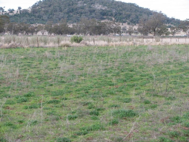 175 Caloola Road, Boggabri NSW 2382