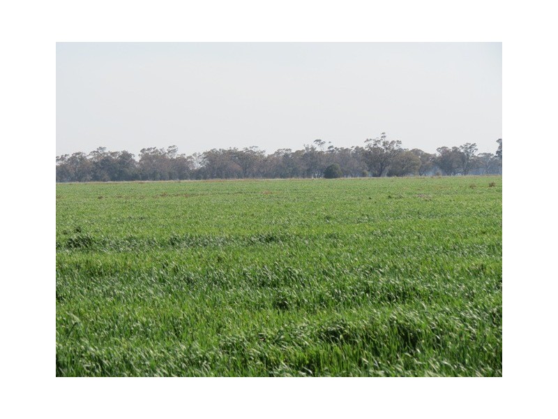 Back Warriston Pine View, Road,, Dubbo NSW 2830