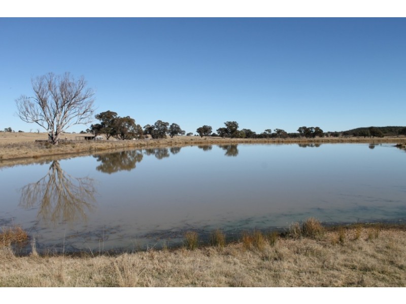ARIMBA Emmaville Road, Emmaville NSW 2371