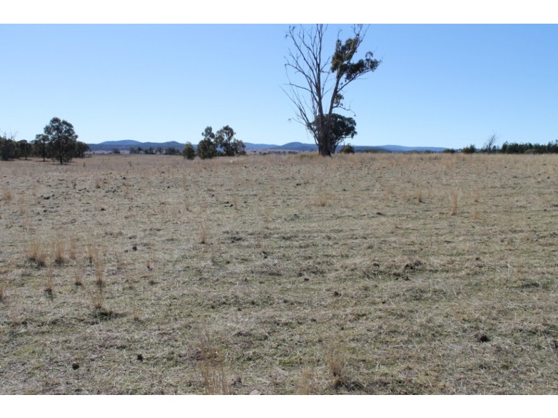 ARIMBA Emmaville Road, Emmaville NSW 2371