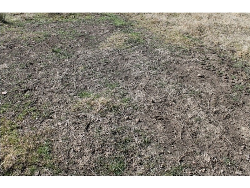 ARIMBA Emmaville Road, Emmaville NSW 2371