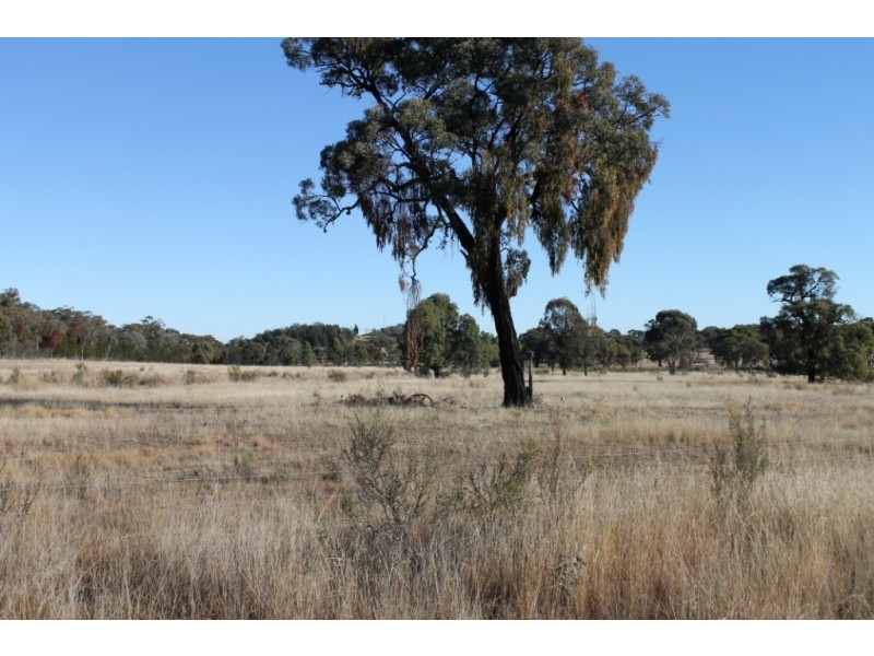 ARIMBA Emmaville Road, Emmaville NSW 2371