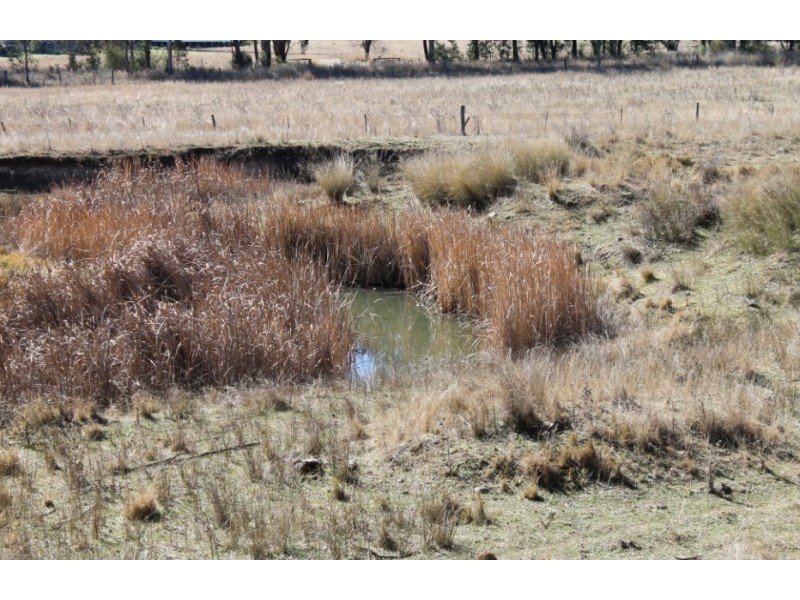 ARIMBA Emmaville Road, Emmaville NSW 2371