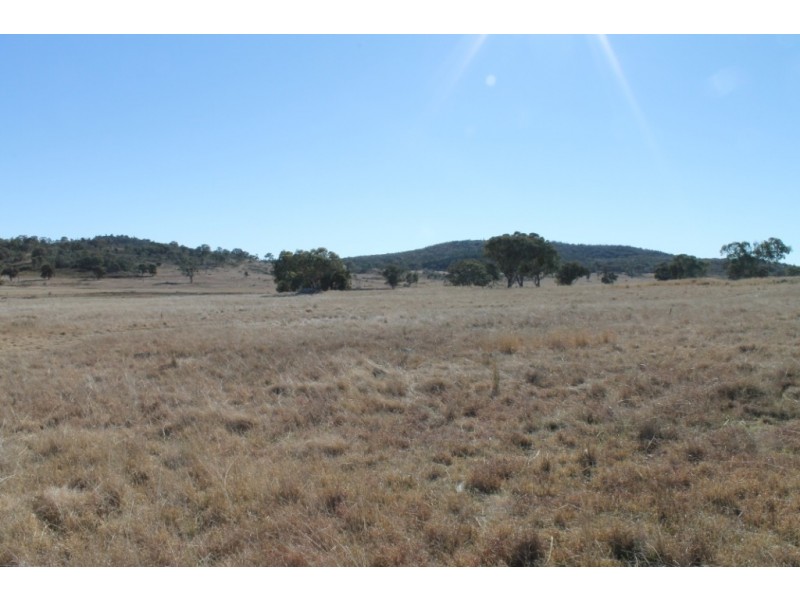 ARIMBA Emmaville Road, Emmaville NSW 2371