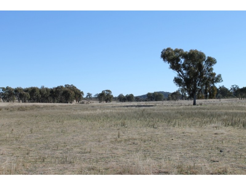 ARIMBA Emmaville Road, Emmaville NSW 2371