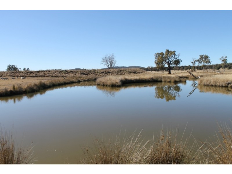 ARIMBA Emmaville Road, Emmaville NSW 2371