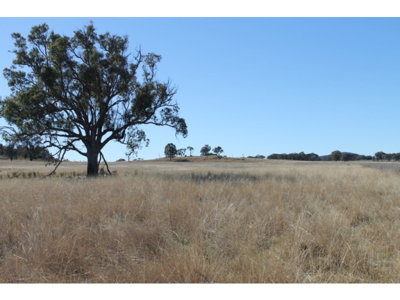 ARIMBA Emmaville Road, Emmaville NSW 2371