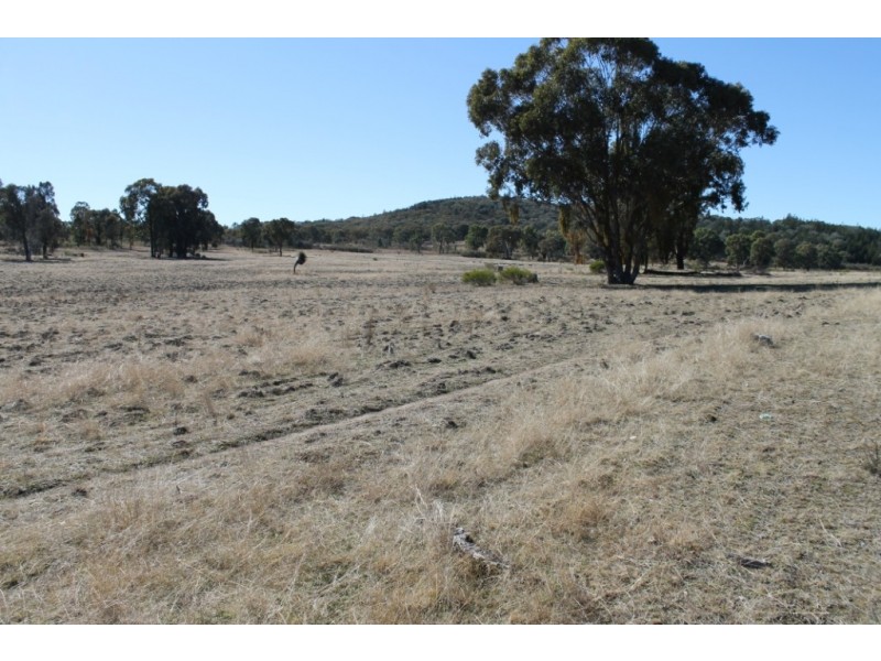 ARIMBA Emmaville Road, Emmaville NSW 2371