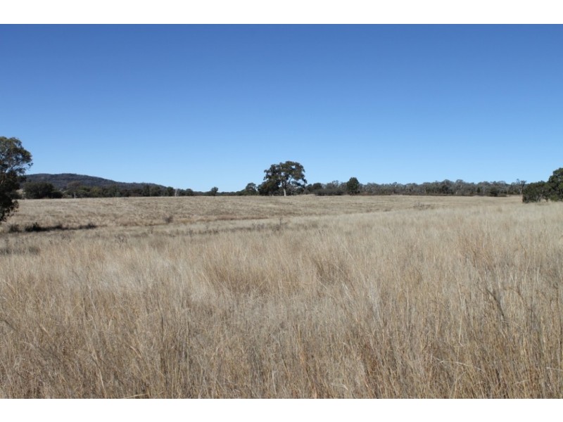 ARIMBA Emmaville Road, Emmaville NSW 2371