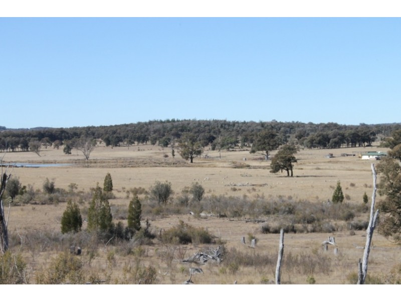 ARIMBA Emmaville Road, Emmaville NSW 2371