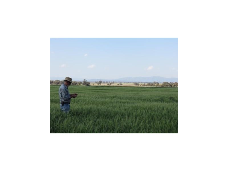 ‘The Block’ Shaws Road, Gunnedah NSW 2380