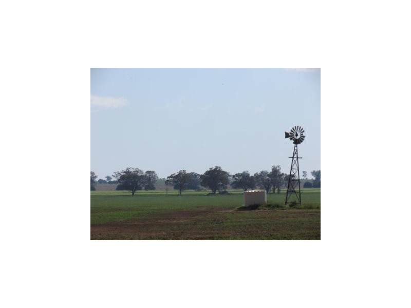 ‘The Block’ Shaws Road, Gunnedah NSW 2380