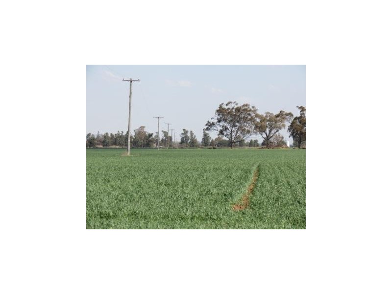 ‘The Block’ Shaws Road, Gunnedah NSW 2380