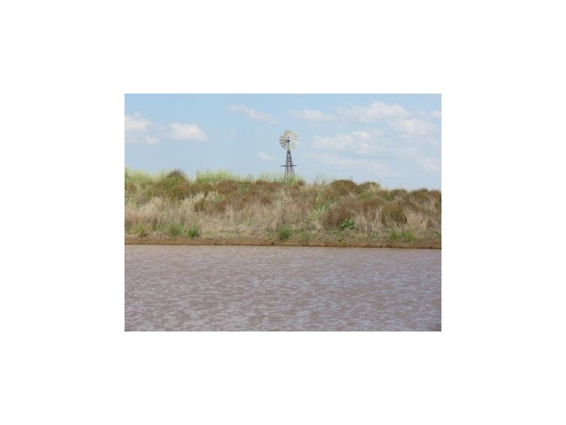 ‘The Block’ Shaws Road, Gunnedah NSW 2380