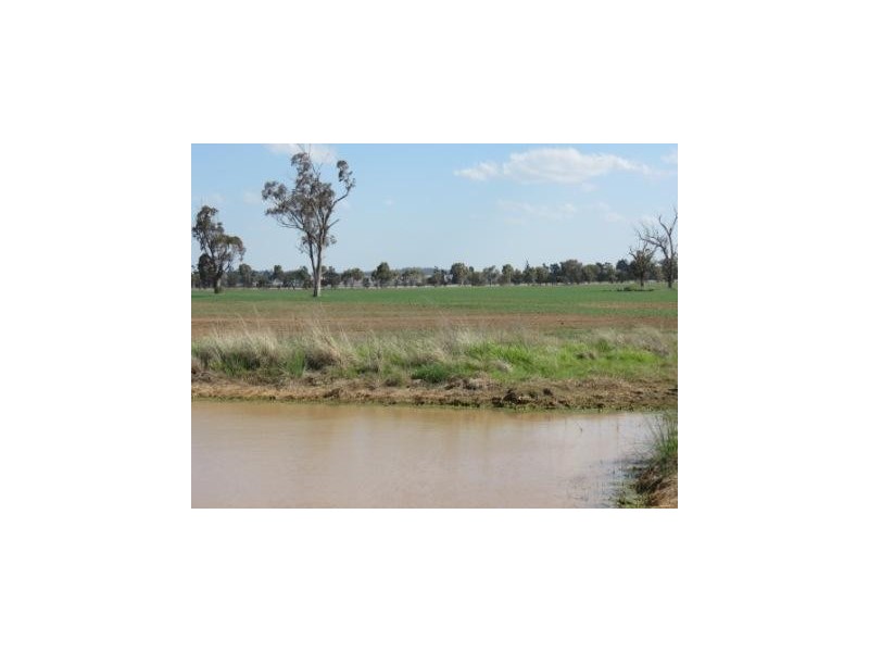 ‘The Block’ Shaws Road, Gunnedah NSW 2380