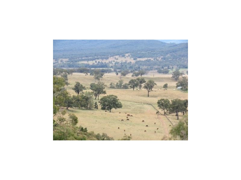‘Mt Moobi’ Yarrandi rd, Scone NSW 2337