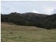 ‘Mt Moobi’ Yarrandi rd, Scone NSW 2337