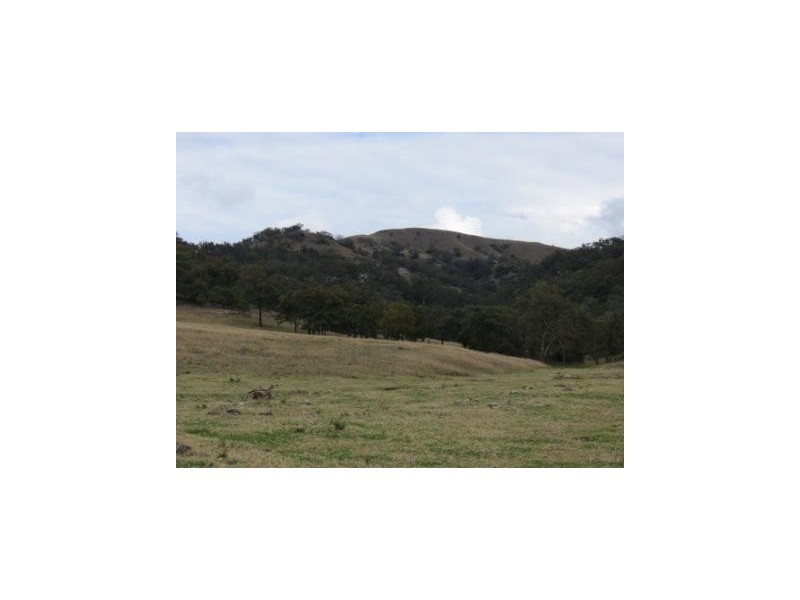 ‘Mt Moobi’ Yarrandi rd, Scone NSW 2337