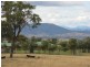 ‘Mt Moobi’ Yarrandi rd, Scone NSW 2337