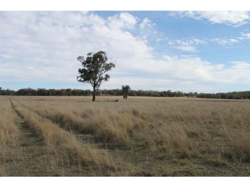 FLEMINGTON Copeton Dam Road, Inverell NSW 2360