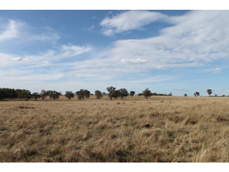 FLEMINGTON Copeton Dam Road, Inverell NSW 2360