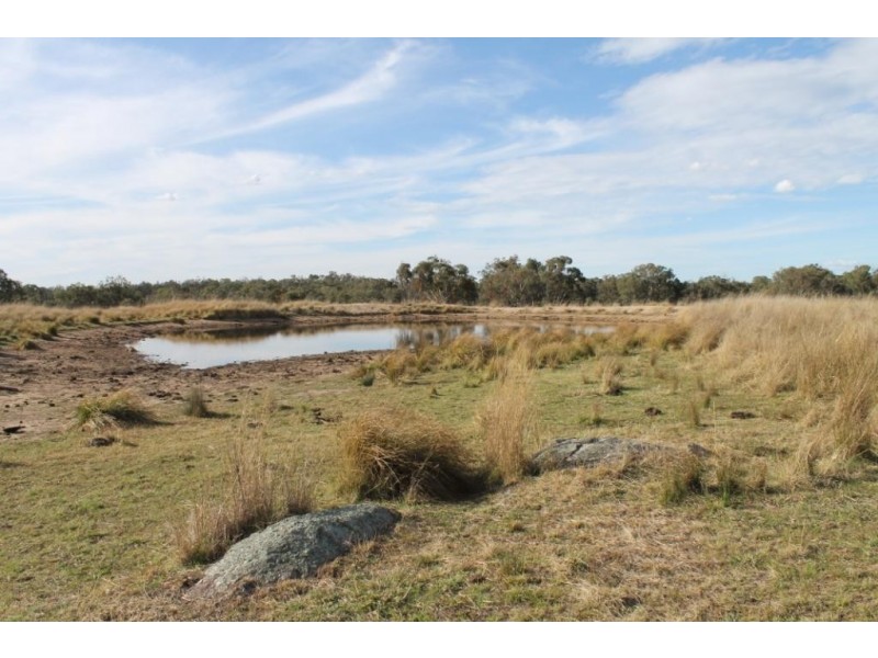 FLEMINGTON Copeton Dam Road, Inverell NSW 2360