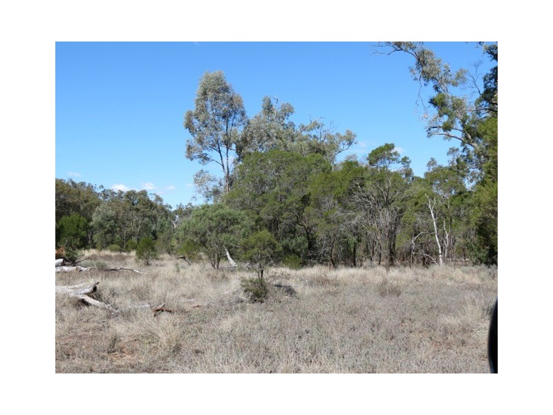 Coolabah Mitchell Highway, Coolabah NSW 2831