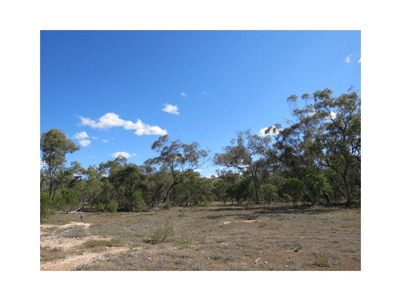 Coolabah Mitchell Highway, Coolabah NSW 2831