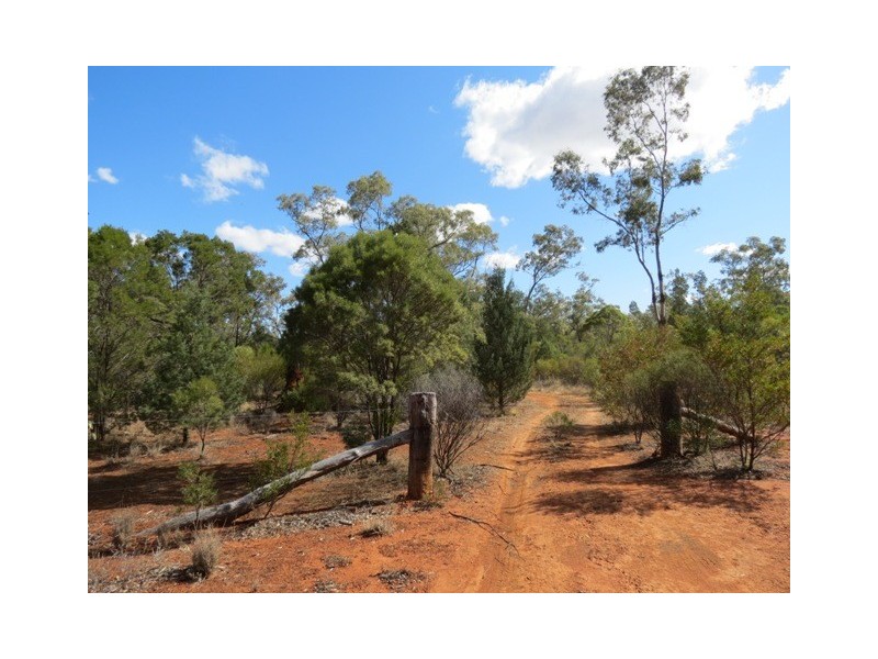 Coolabah Mitchell Highway, Coolabah NSW 2831