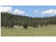 90 Yarraman Rd, Muswellbrook NSW 2333