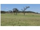 90 Yarraman Rd, Muswellbrook NSW 2333