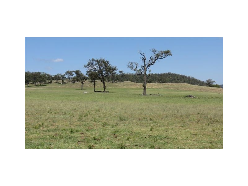 90 Yarraman Rd, Muswellbrook NSW 2333