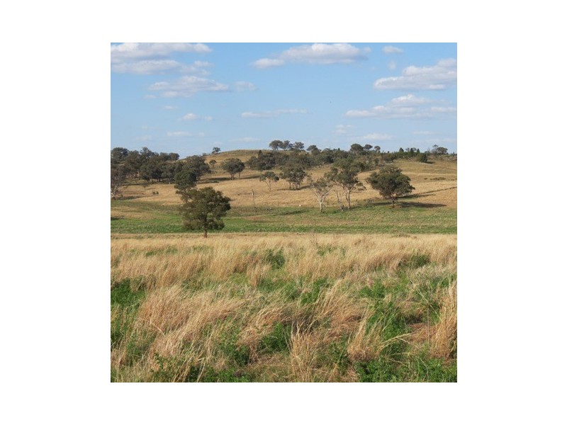 1215 Old Station Road, Wellington NSW 2820