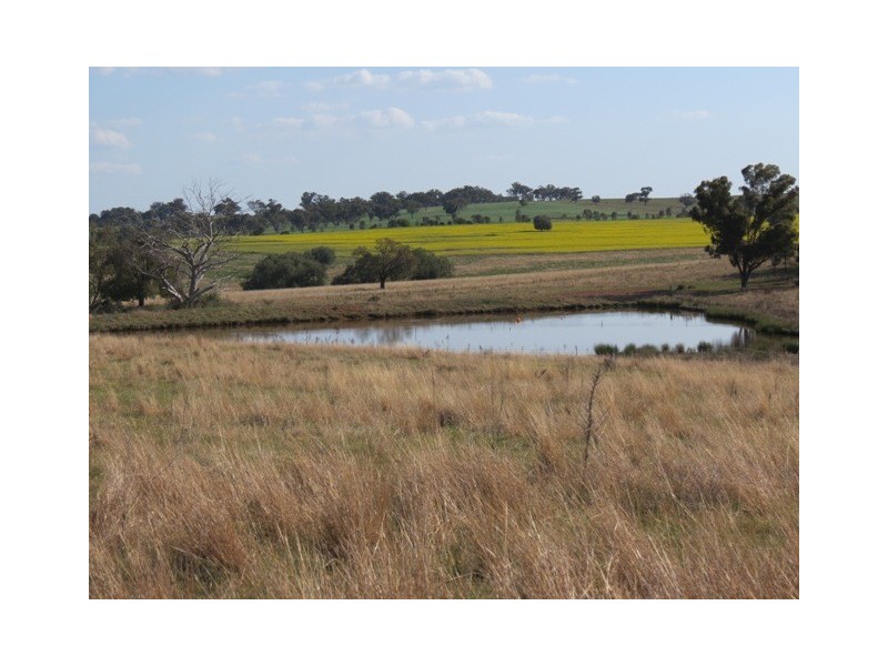 1215 Old Station Road, Wellington NSW 2820