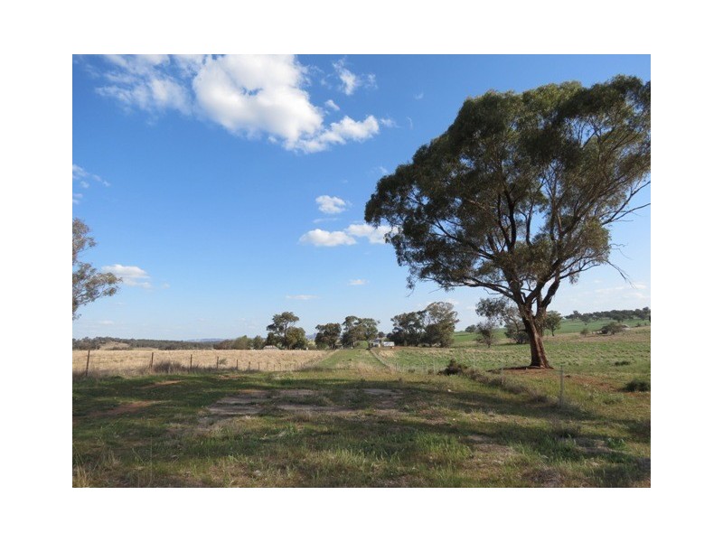 1215 Old Station Road, Wellington NSW 2820