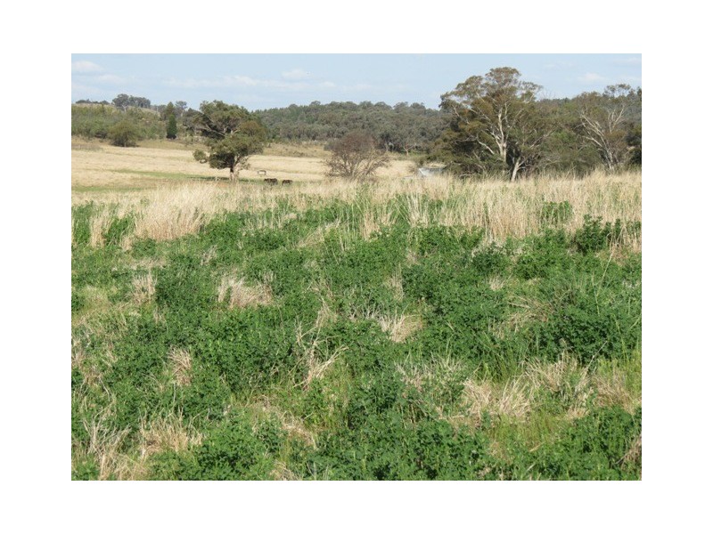 1215 Old Station Road, Wellington NSW 2820