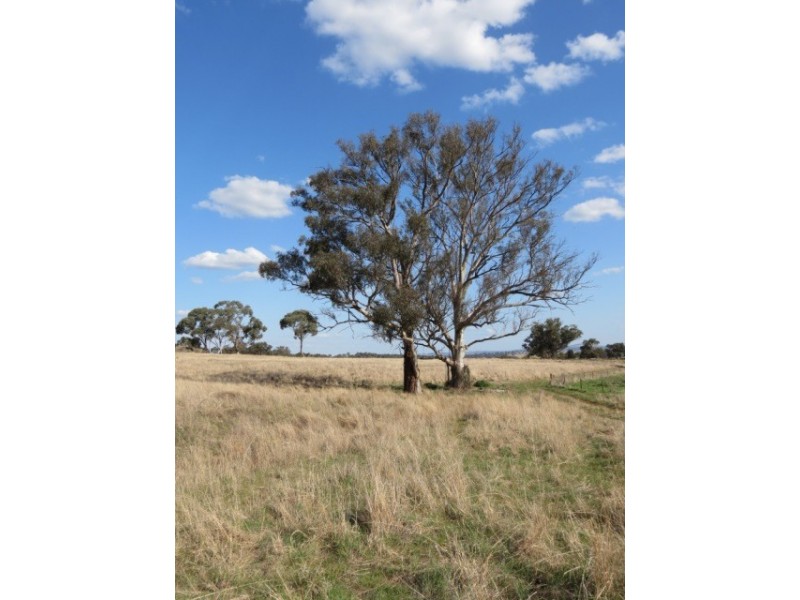 1215 Old Station Road, Wellington NSW 2820