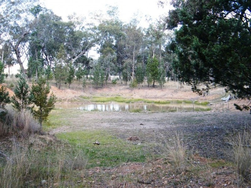 Currabubula NSW 2342