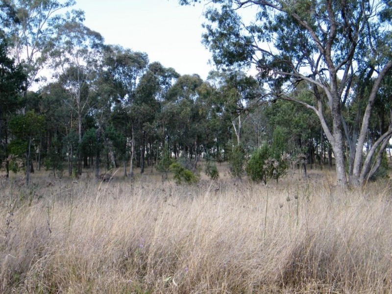 Currabubula NSW 2342