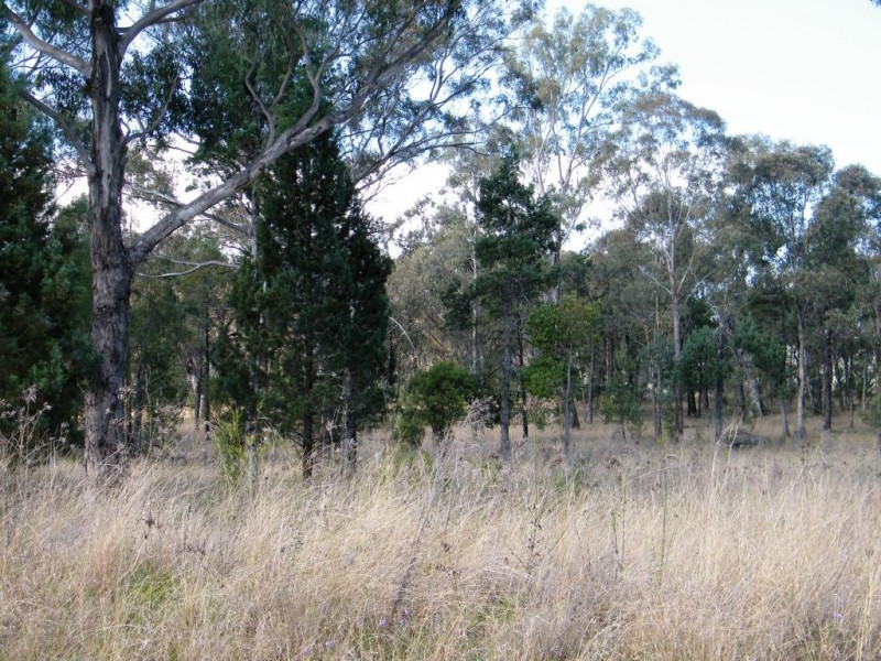 Currabubula NSW 2342