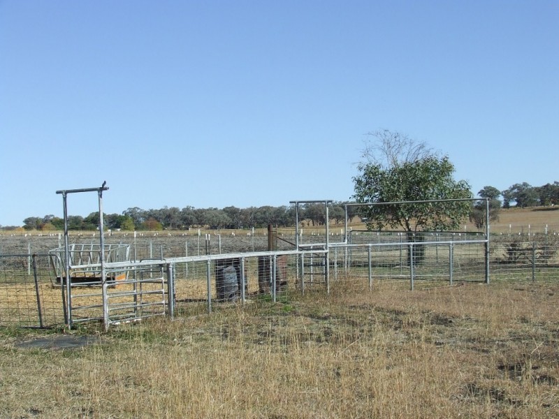 71 Brosnans Lane, Inverell NSW 2360