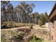 Lot 55 Timor Rd, Coonabarabran NSW 2357