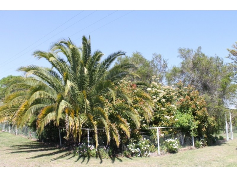 MONTANA Mount Russell Rd, Inverell NSW 2360