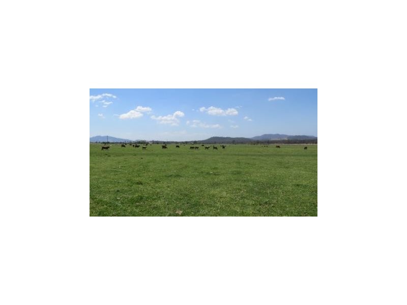 ‘Glenhurst’ Mitchells Flat rd, Singleton NSW 2330