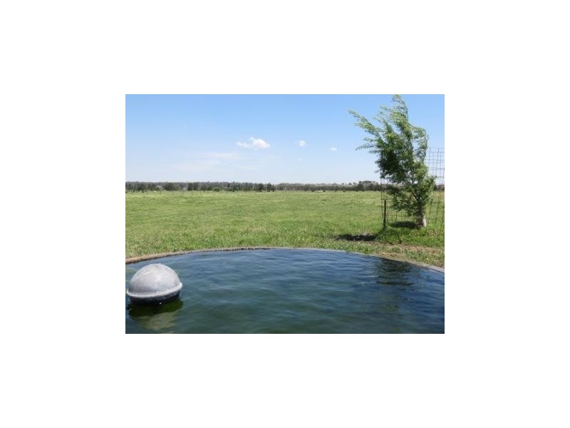 ‘Glenhurst’ Mitchells Flat rd, Singleton NSW 2330