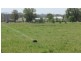 ‘Glenhurst’ Mitchells Flat rd, Singleton NSW 2330