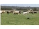 ‘Glenhurst’ Mitchells Flat rd, Singleton NSW 2330