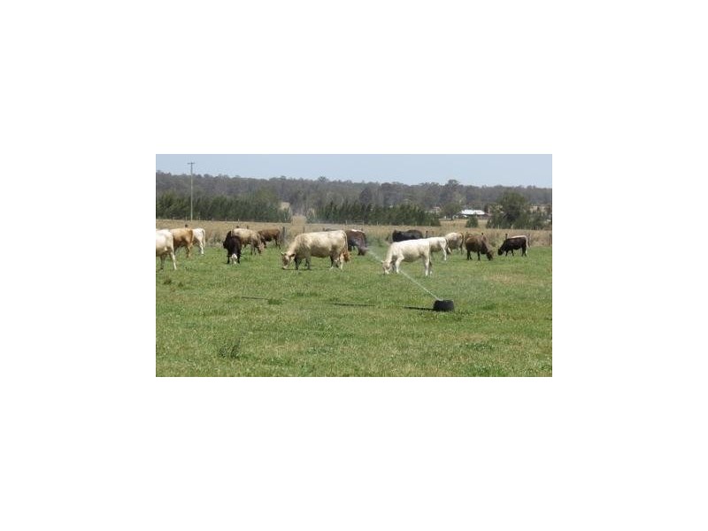 ‘Glenhurst’ Mitchells Flat rd, Singleton NSW 2330