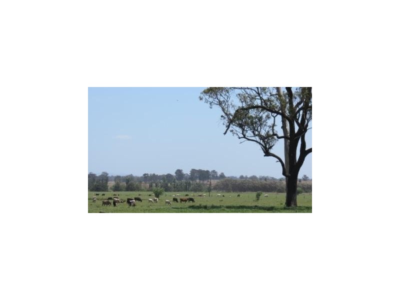 ‘Glenhurst’ Mitchells Flat rd, Singleton NSW 2330