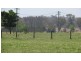 ‘Glenhurst’ Mitchells Flat rd, Singleton NSW 2330